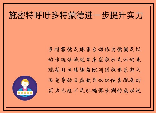 施密特呼吁多特蒙德进一步提升实力